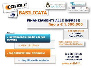 COFIDI.IT soc. coop.