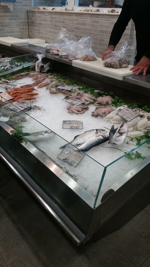 Pescheria I DELFINI di Ricci Giuseppe