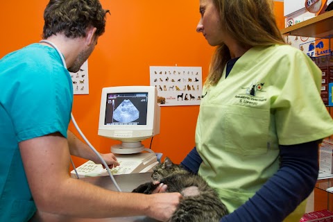 Ambulatorio Veterinario San Lorenzo Dr.ssa Michela Guerriero