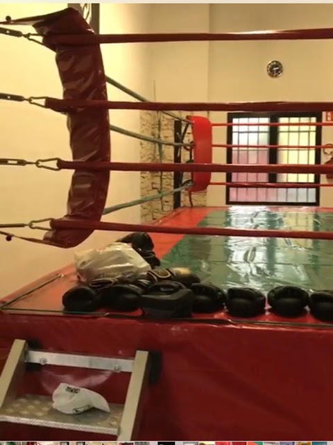 Arena Boxe