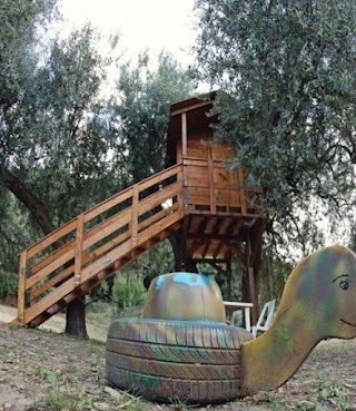 Gole di Tiberio - Casa sull'Albero