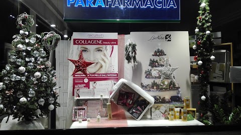 FARMACEUTICAMENTE SNC SOLESINO