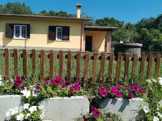 Villa Oasi Relax