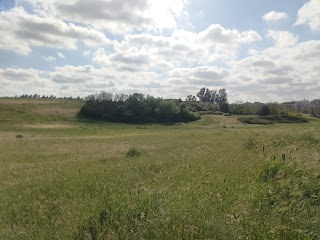 Tenuta di Tormarancia