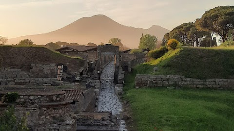 Alex Tour Pompeii