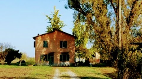 Casetta in Campagna