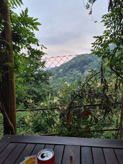 Osteria Il Chiosco Nel Bosco