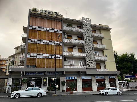 Centro Fiori Giuffrida Interflora