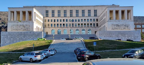 Università degli Studi di Trieste