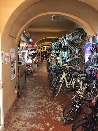 Florence By Bike