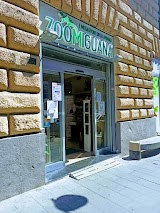 Zoomiguana Il Megastore Degli Animali