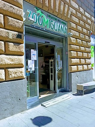 Zoomiguana Il Megastore Degli Animali