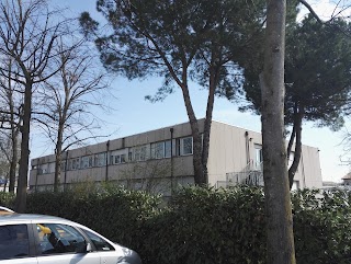 Istituto Comprensivo Statale Dante Alighieri