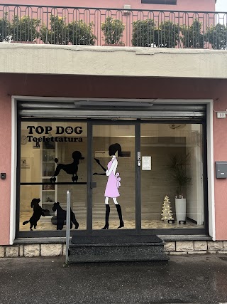 top dog toelettatura di ila