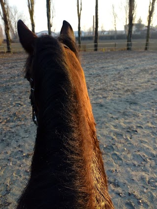 Centro Equestre Tenuta Madonna