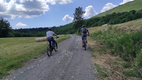 Stray Dogs - Noleggio E-Bike, Tour Guidati, Trekking - Pievepelago Cimone Appennino