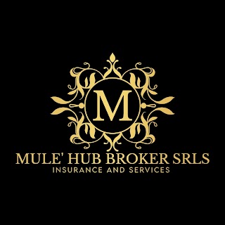 Mule' Hub Broker