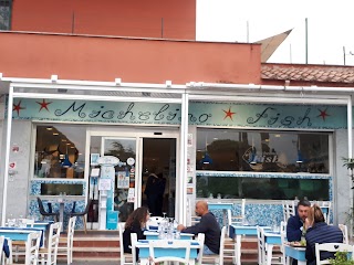 Michelino Fish pescherie Roma