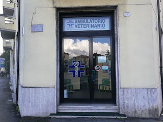 Ambulatorio Veterinario S. Anna del Dr. Massimo Ciocci & Dott.ssa Luisa Cesca