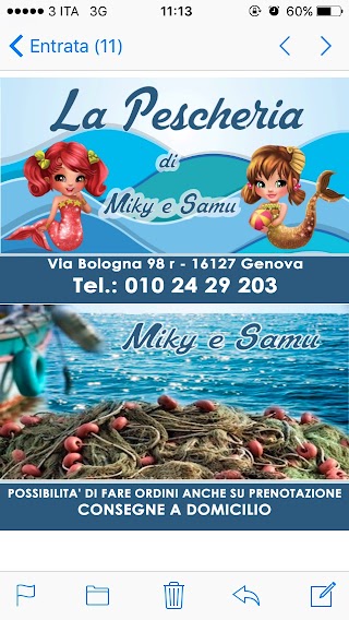 Pescheria Picasso Miky E Samy Di Picasso Michela & C. Snc