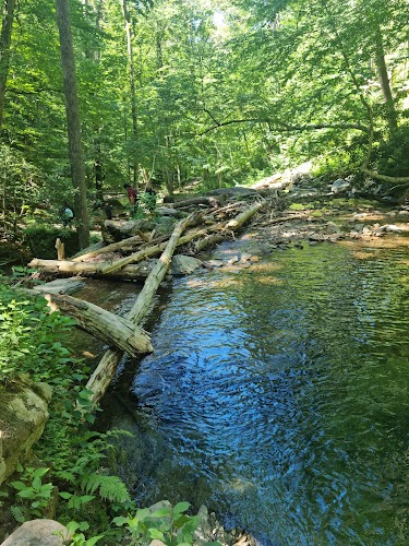 Dunnfield Creek Natural Area trailhead