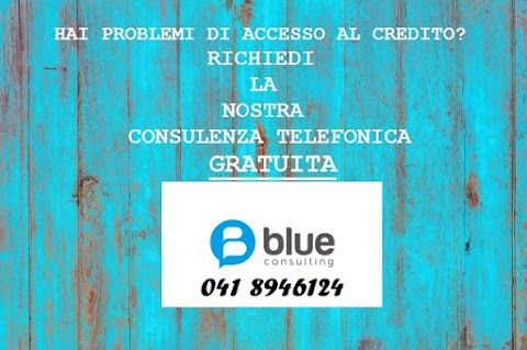 Blue Consulting-Consulenze per Aziende e Privati