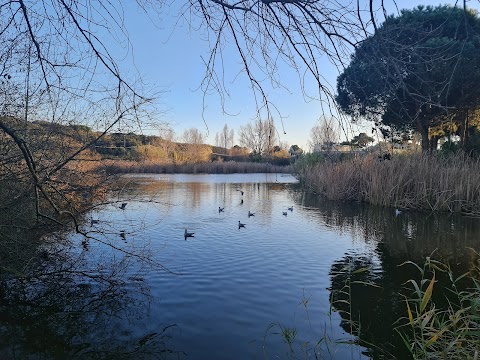 Parco del Canale dello Stagno