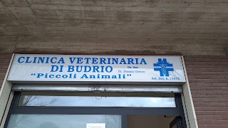 Clinica Veterinaria Di Budrio Dr. Grieco - Dr.Ssa Balboni - Dr.Ssa Demetrio