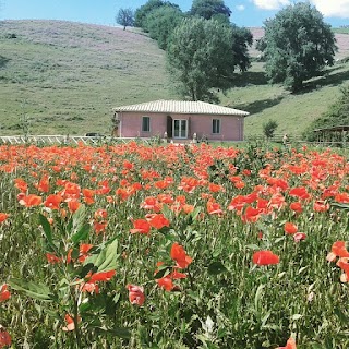 Ristorante agrituristico il giardino segreto