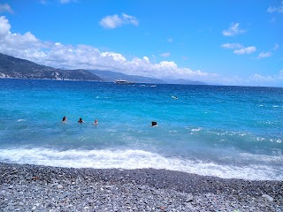 Borboleta spiaggia