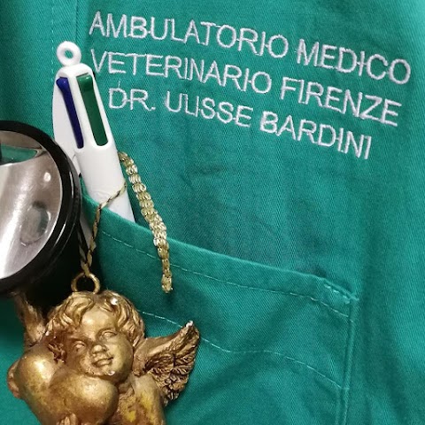 Dr. Ulisse Bardini Ambulatorio Medico Veterinario Firenze