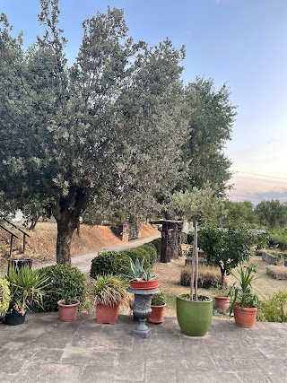 Agriturismo Il Pino Bioagricoltura