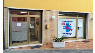 AMBULATORIO VETERINARIO MYVET LAGARO