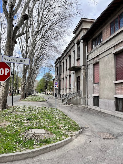 Università degli Studi di Parma - Dipartimento di Medicina e Chirurgia