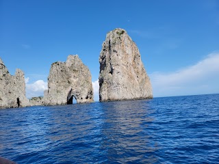 Lubrense Boats