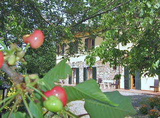 Agriturismo Il Gelso Pomaia