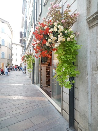 Università degli Studi di Trento