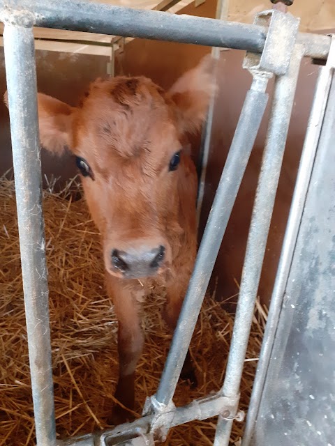 Nabucco Azienda Agricola