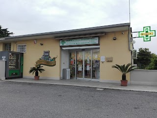 Farmacia del borgo di Bruno Migliore