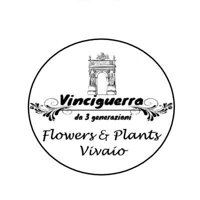 Vivaio Vinciguerra Flowers