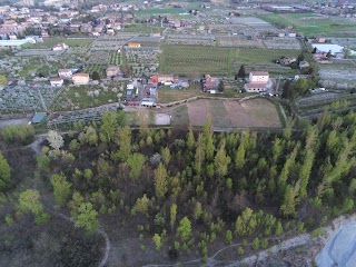 Maneggio/Sede Formazione IHA "Formichino Ranch"