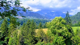 Agriturismo Fattoria della Felicità