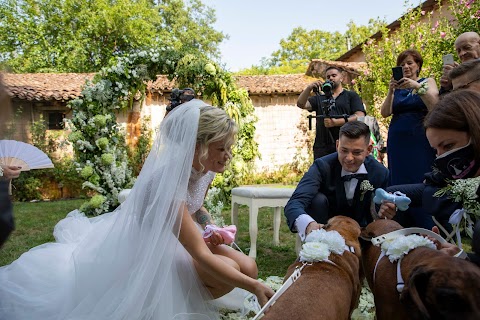 Wedding Dog Sitter - 1°in Italia dal 2010