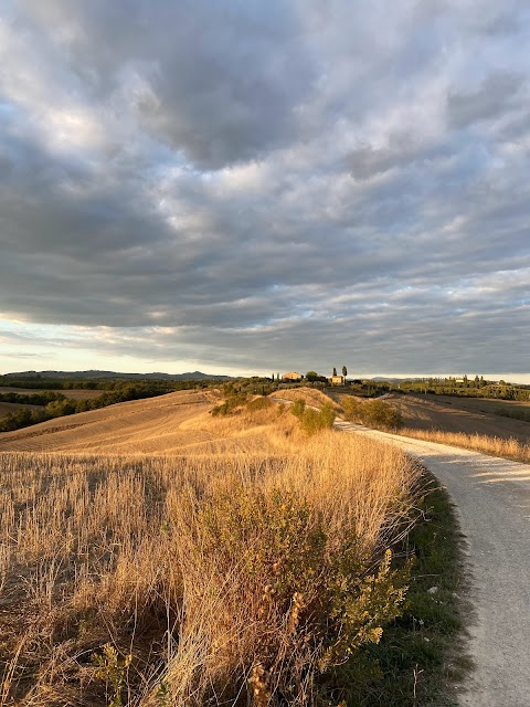 Agriturismo il Fattoio alle RIPE