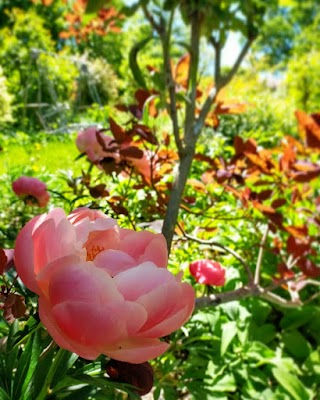 Giardino Botanico Caplez