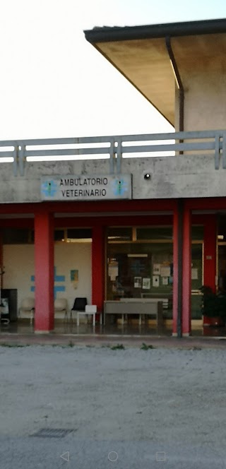 Ambulatorio Veterinario Zanin e Rizzo