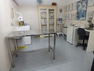 Clinica Veterinaria CENTRO SAN FRANCESCO Dr. V. Costantini