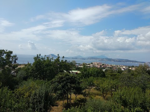 Pozzuoli Tourist Information Office