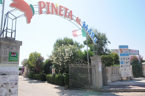 Villaggio Camping Pineta Al Mare