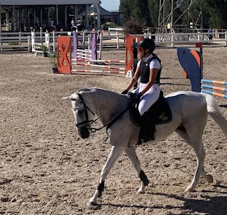 Centro Equestre Barone - Scuola di Equitazione per adulti e bambini